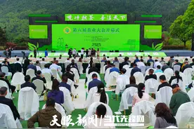 2025第六届茶业大会在江口开幕图片