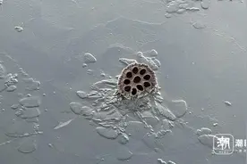 -4℃的杭州，西湖结冰，你知道哪一年西湖的冰最厚吗图片