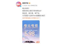 吉利汽车：5.98万元纯电SUV几何E萤火虫301km龙腾版上市图片