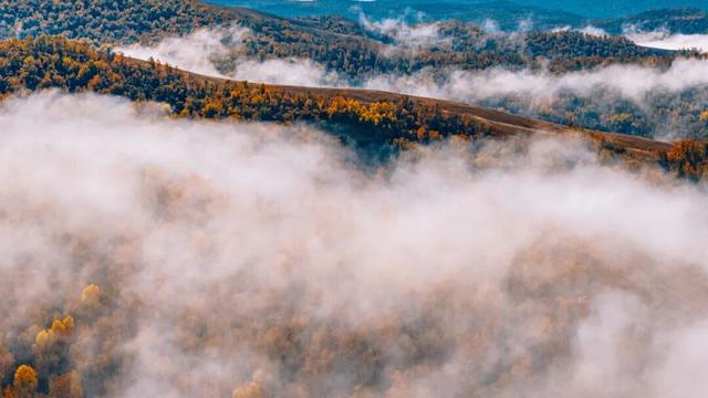 欢迎来到，秋天的廊道