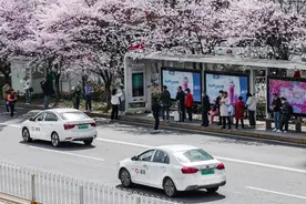 滴滴发布2024年清明假期安全出行公告图片