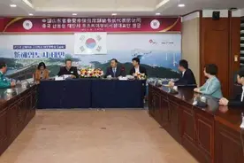 “中华泰山 国泰民安”文化旅游推介活动在韩国成功举办图片