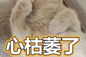 九旬老人起诉孙辈索要隔代赡养费，法院判了！图片