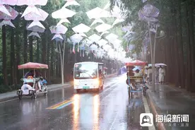 爱上日照 | ⑫雨后的日照国家海滨森林公园成了天然氧吧，上海游客直呼“真凉快！”图片
