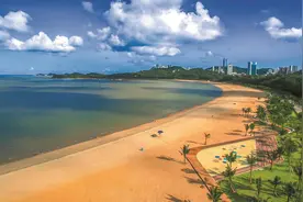 “鱼鸥翔集”照进现实 海洋环境成为珠海“名片”图片