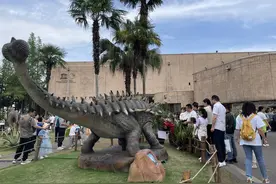 冲上“热搜” 四川自贡恐龙博物馆入选全国热门博物馆百强榜单图片