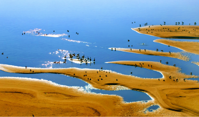 候鸟栖息铁锚洲 十年禁渔成美景