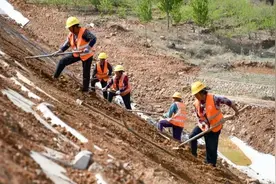 山东这三条高速公路建设最新进展来了图片