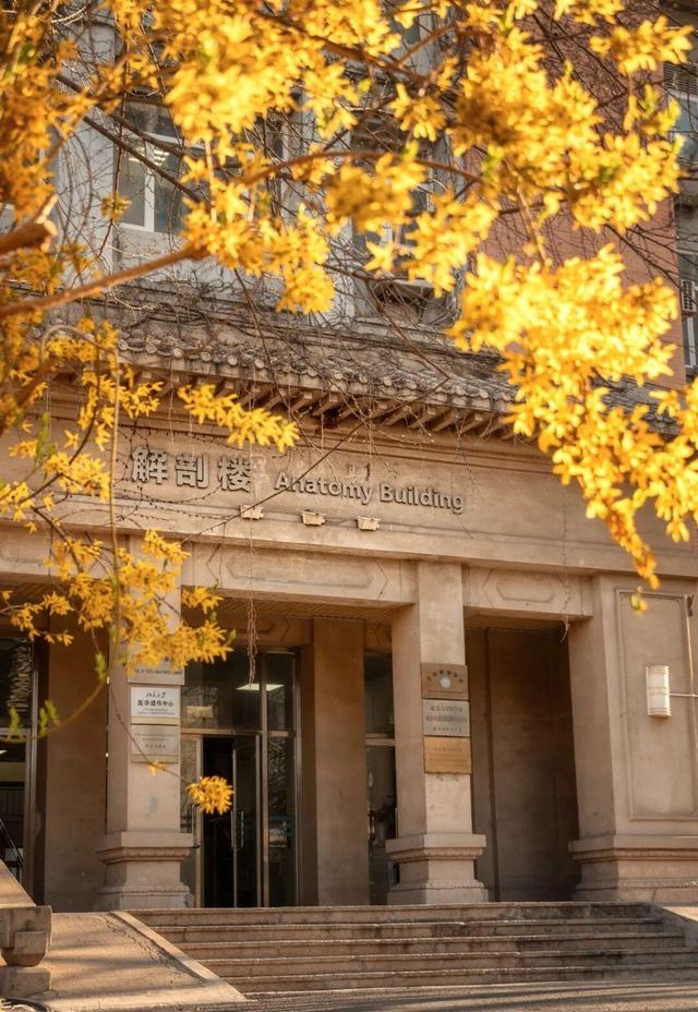 藏不住了！攒了整个秋天的北医美景，立冬前全部分享！