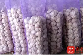 让美国闻风丧胆的这些山东好品 得拿出来“蒜蒜”图片