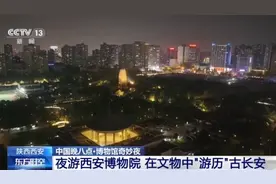 想穿越回古长安当一天“唐朝人”？来西安博物院开启奇幻之旅图片