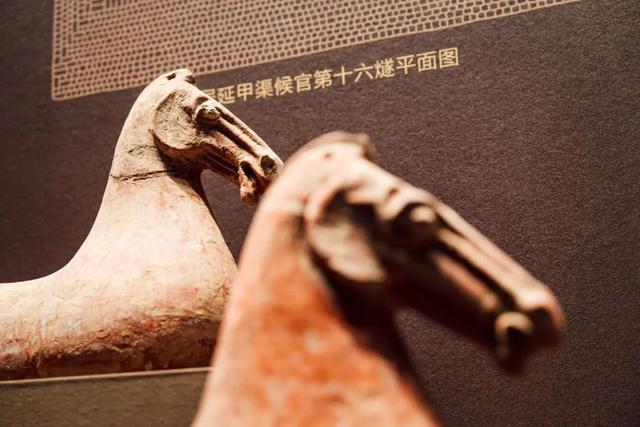 老俞闲话｜内蒙古之旅（第10-12天）