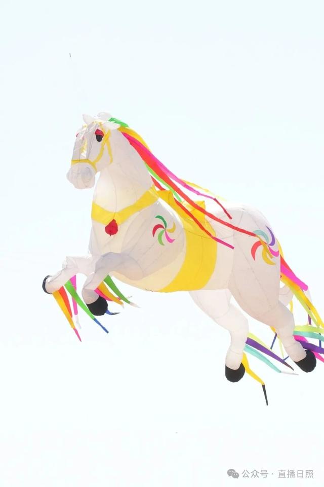 风筝嘉年华来了！就在日照这里！现场好多“神马”都飞上天......