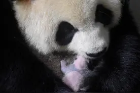 这组七宫格的含金量，谁懂啊！图片