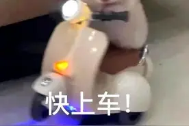 想在连州赏到最美的花？这份宝藏赏花路线快收好→图片