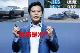 “友商是XX”的含金量上升，销量问题让全球车企疯狂图片