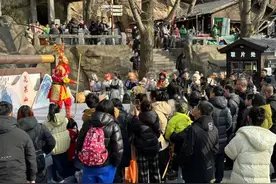 大王叫我来巡山~~~图片