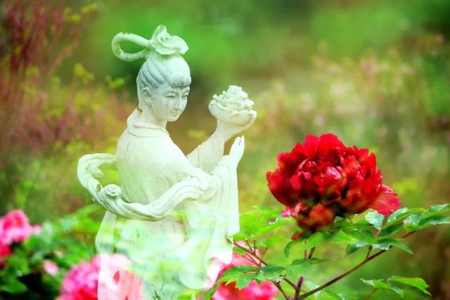 花开成海！快来打卡溧水这座校园