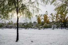 （外代二线）韩国多地遭遇大雪天气图片