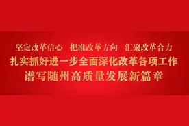 胡志莉到随县调研项目和园区建设工作图片
