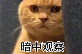 妖风来了，最高9级！还有雷电+短时强降水！良心建议：瘦子慎出门！图片