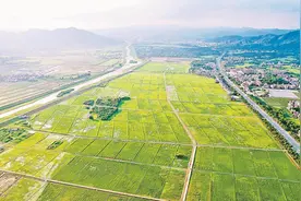 超大城市如何做好耕地保护？广州这样干！图片