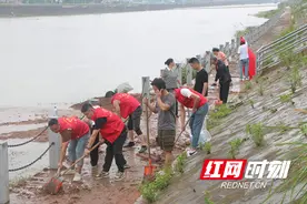 溆浦县低庄镇：党群连心齐上阵，灾后重建暖人心图片