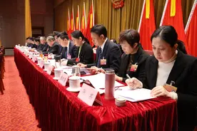 聚焦济南区县两会｜平阴县招强引优项目到位资金50亿元 增长10%图片