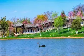 明起，云南大学向社会全面开放校园图片