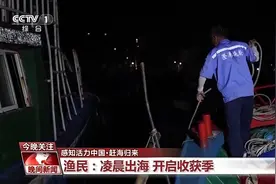 又是开渔季！走，跟着记者去赶海“寻鲜”图片