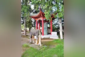 陇蜀之城，边声四起唱大风——探访吴家将抗金遗迹①图片