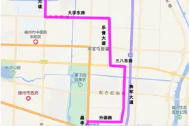 新开、调整这些线路！德州公交最新通告图片