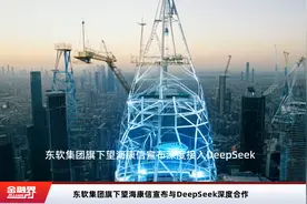 东软集团旗下望海康信宣布与DeepSeek深度合作
