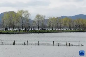 西湖春景美图片