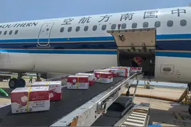 抢“鲜”出发，南航物流助力海南荔枝极速送达全国图片