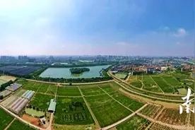 从种植到农旅，横沥这些地方好看又好玩图片