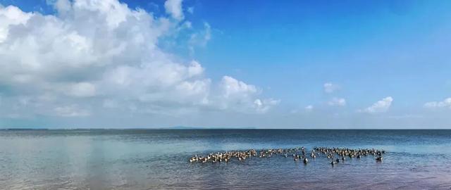 鄱阳湖“轻游”手册，松弛感拿捏～