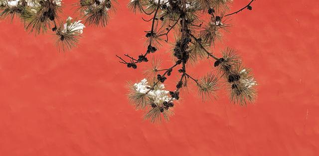 雪后故宫，气象万千