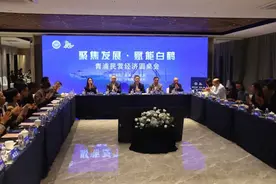 加快发展新质生产力，推动白鹤高质量发展！“聚焦发展·赋能白鹤”青浦民营经济圆桌会举行图片