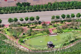 这座港口像园林！看绿色发展怎样为烟台港增色添彩图片