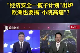 经济安全一揽子计划出炉 欧洲要搞“小院高墙”？图片