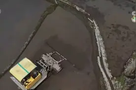 从传统粮食作物到特色经济作物 智慧农业生机勃勃“潮”有范儿图片