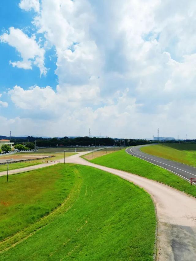 初冬暖阳，踩单车去！三水绝美骑行路线全揭秘，每一帧都是壁纸！