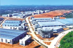 特稿丨“浏”光溢彩春烂漫图片