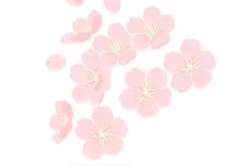 白天送单晚上带娃？妈妈骑手的人生新赛道！图片