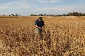 【世界说】一位投票给特朗普的美国大豆种植者的呼声：尽快结束贸易战，不要拿美国人的生计冒险！图片