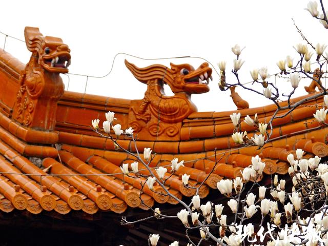 春假游江苏，这份“免费+延时”攻略请收好！