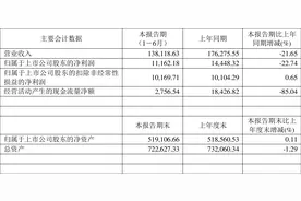 尖峰集团：2023年上半年净利润1.12亿元 同比下降22.74%图片