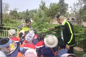 郭店幼儿园开启观湖赏花之旅图片