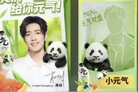 肖战王一博傻傻分不清，元气森林道歉图片